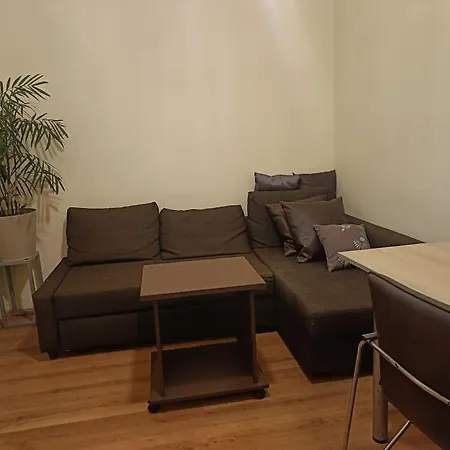Apartment Spacious Panemune