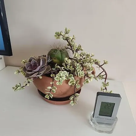 Spacious Panemune 公寓