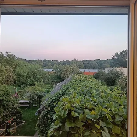 Spacious Panemune 公寓