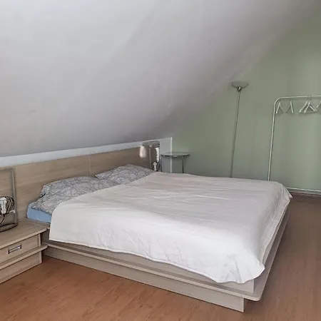 Apartment Spacious Panemune Kaunas