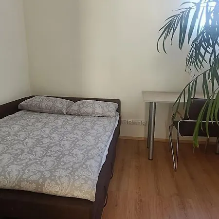Apartment Spacious Panemune