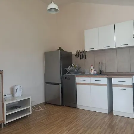 Spacious Panemune Apartment