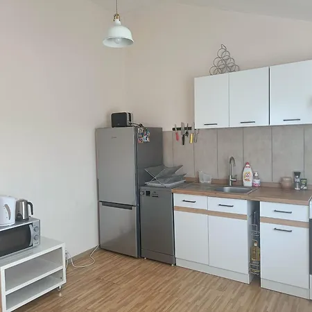 Spacious Panemune Kaunas