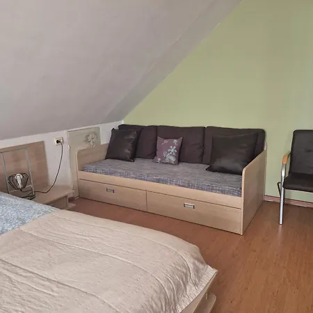 Spacious Panemune Appartement *