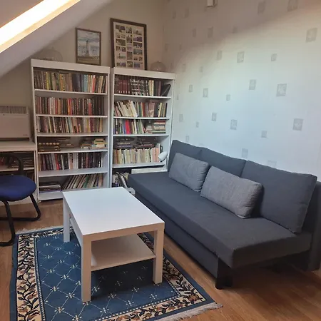 公寓 Spacious Panemune *