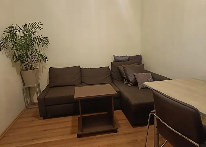 公寓 Spacious Panemune