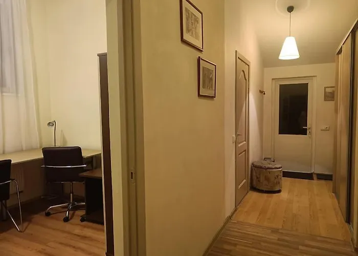 Spacious Panemune 아파트