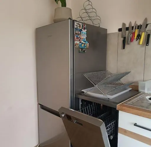 公寓 Spacious Panemune