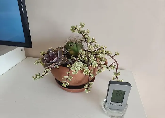 Spacious Panemune 아파트