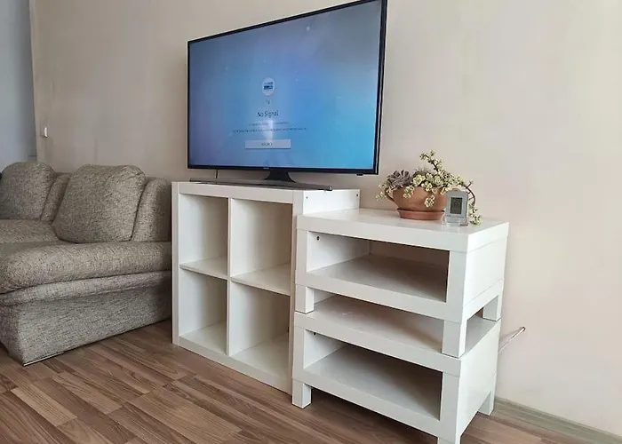 Spacious Panemune 아파트 카우나스