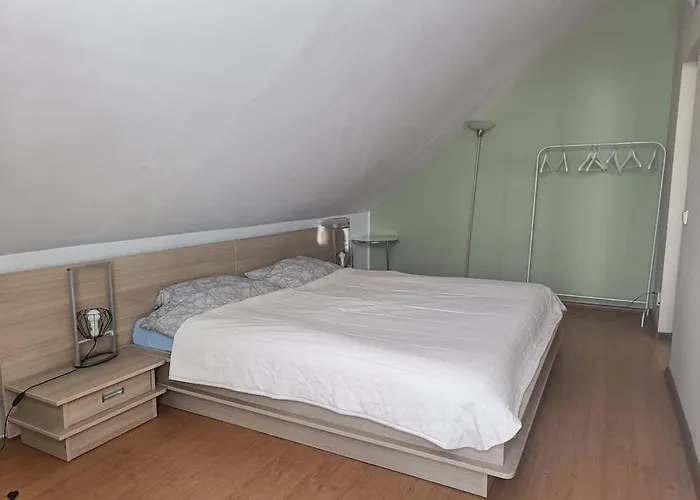 公寓 Spacious Panemune 考纳斯