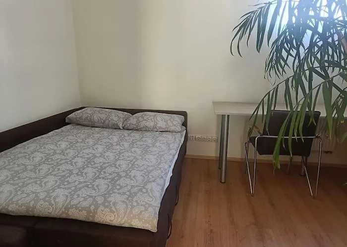 아파트 Spacious Panemune