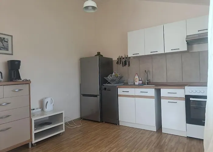 Spacious Panemune 아파트