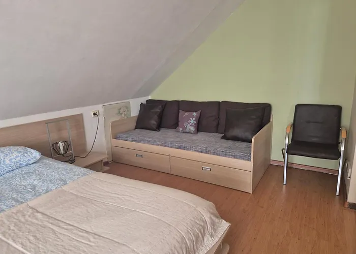 Spacious Panemune 公寓 *