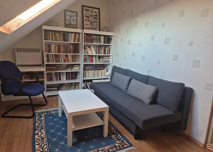 公寓 Spacious Panemune *